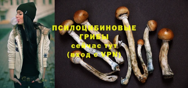 мескалин Гусев