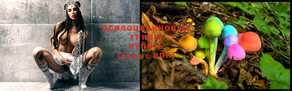 прущая мука Гусь-Хрустальный