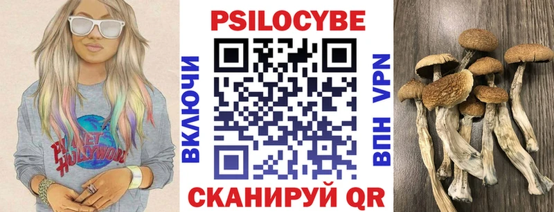Купить закладки  Чёрмоз  Галлюциногенные грибы ЛСД 